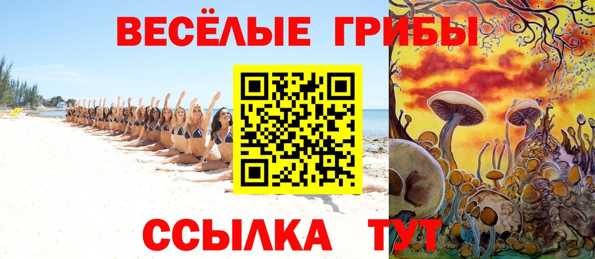 Сыктывкар  Псилоцибиновые грибы мицелий  Вход с VPN 